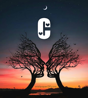 Stylish A to Z Alphabet Dpz with Romantic Trees view and Moon