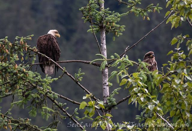 Juneau 朱諾 Eagle Point 鷹