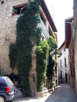 House surrounded by greenery