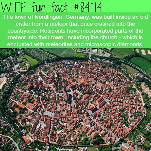 40 Amazing Random WTF Facts