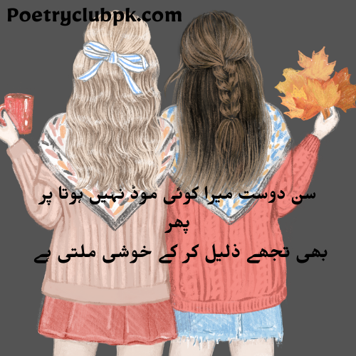 Best Funny Poetry  In Urdu English  Txt 2 Lines Poetry Funny Jocks.