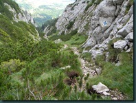 DSCN9092
