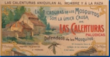 mosquitos