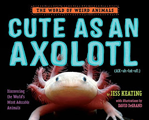 Cute as an Axolotl: Discovering the World's Most Adorable Animals (The World of Weird Animals)