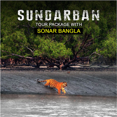 Hotel Sonar Bangla Sundarban Tour Packages