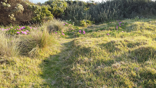 Bunurong Coastal Drive