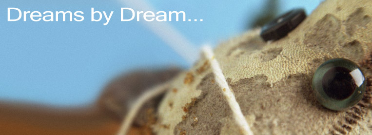 Dreams by Dream