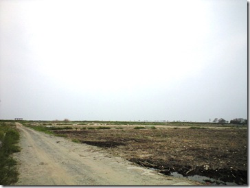 CA390472