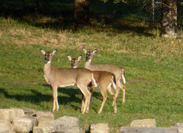 P1090251