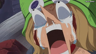 ワンピースアニメ ドレスローザ編 676話 レオ 小人族 Dwarves トンタッタ Tontatta | ONE PIECE Episode 676