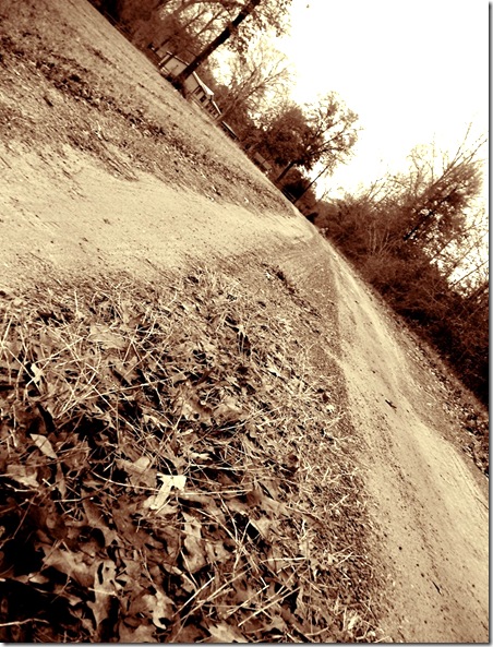countryroad sepia