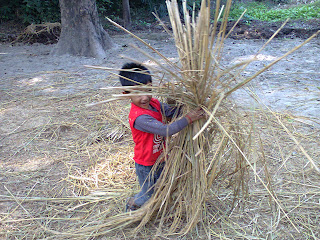 Aashi at Dhawanriya village