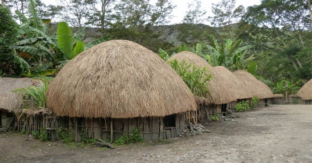 Rumah Adat Papua (Rumah Honai), Gambar, dan Penjelasannya 