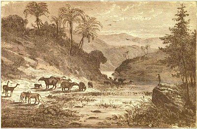 Landscape of the  Eocene Period