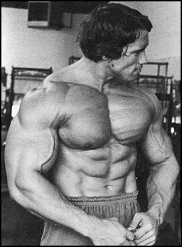 Arnold Schwarzenegger 4 Day Workout