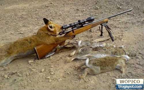 Smart Hunter