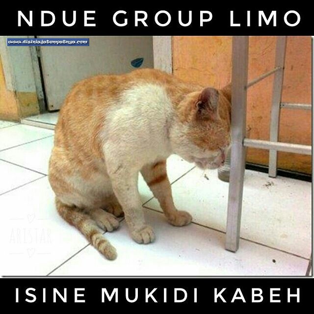 Meme Lucu Tokoh Cerita Fiktif Mukidi - Disini Aja Tempatnya