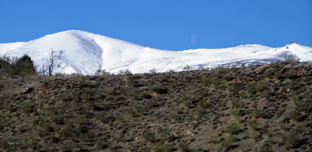 Picón, Sierra Nevada