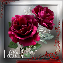 MIS FLORES