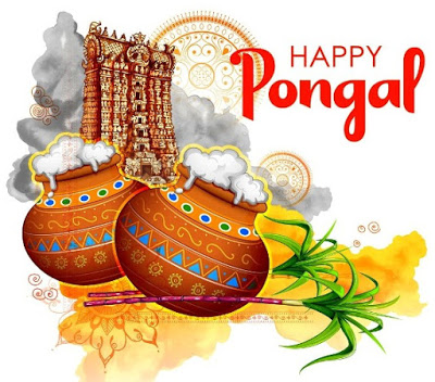 Happy Pongal Images HD 4