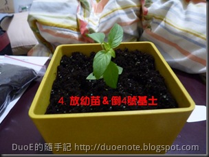 投影片4