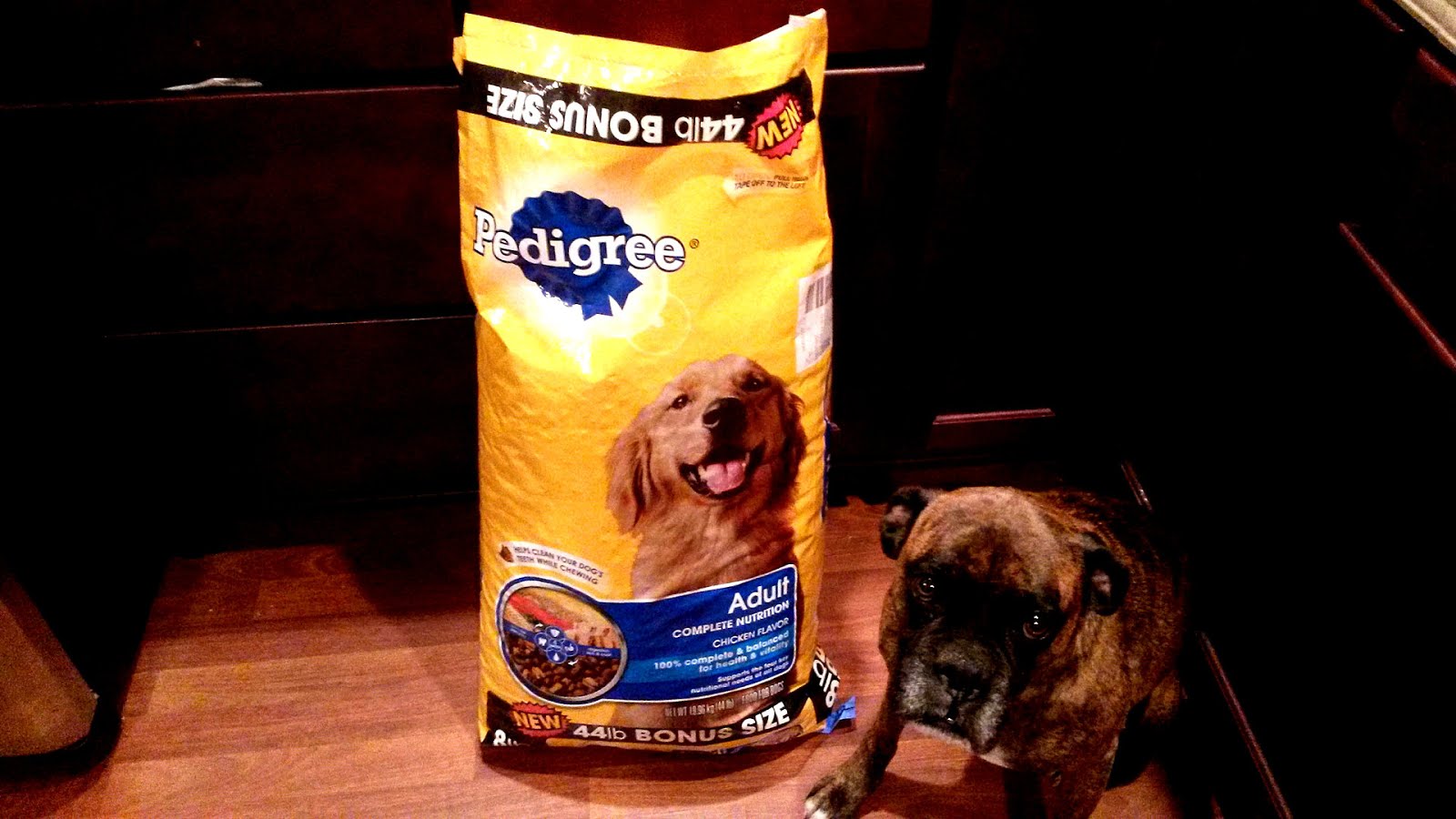 Best Dog Food Review - Dog Choices
