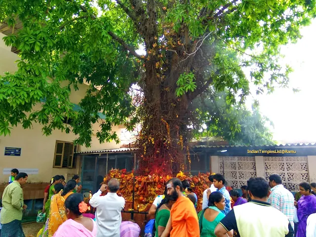 Mopidevi Temple - Lord Subramanya Swamy Temple