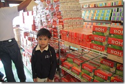 Cameron Highland 18.3.2011 144