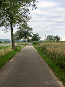 Rad-Weg Richtung Feld des Jammers