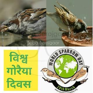 विश्व गोरैया दिवस -  World Sparrow Day (20 March)