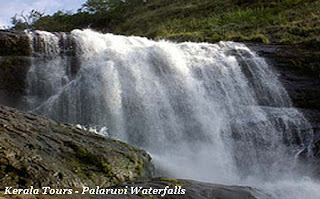 Kerala Tours - Charming Palaruvi Waterfalls