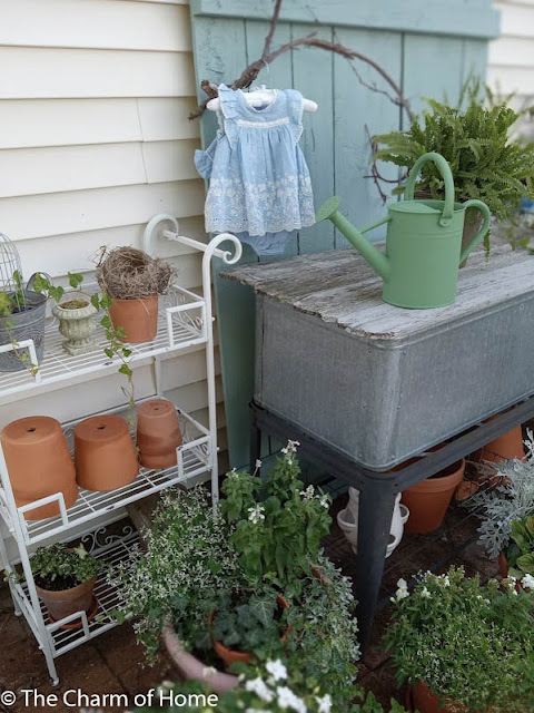 Patio Garden
