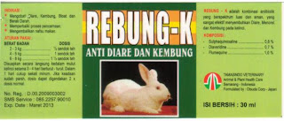 Obat kembung dan diare - Rebung