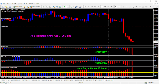 FxGhani Momentum Strength Strategy