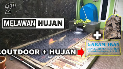 Cara Mengatasi Kolam Koi Saat Hujan