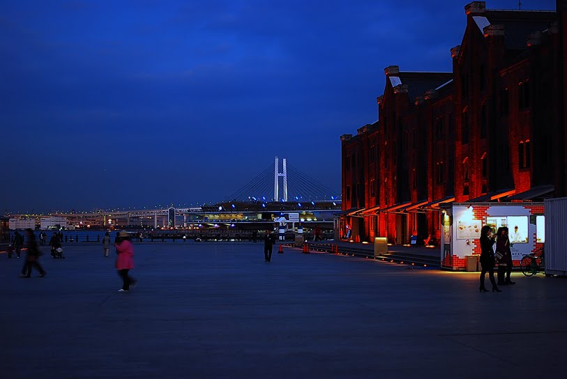 [大桟橋　DSC_0059.jpg]