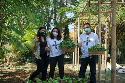 Rai Mantra Panen Sayuran di Kebun Pekarangan Rumah, Ajak Seluruh Lapisan Masyarakat Ciptakan Ketahanan Pangan Skala Keluarga