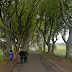 The Dark Hedges