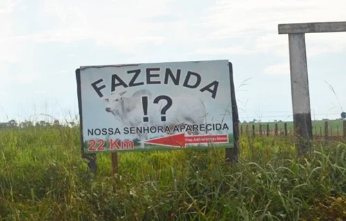 TENSÃO: Seguranças privados e invasores trocam tiros em fazenda de Rondônia