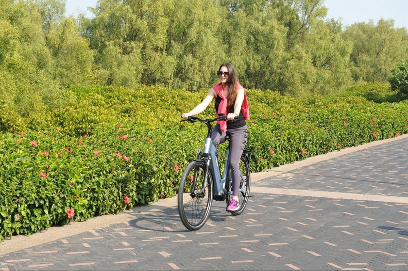 The Reasons Travellers Prefer E-bikes for Their Vacation