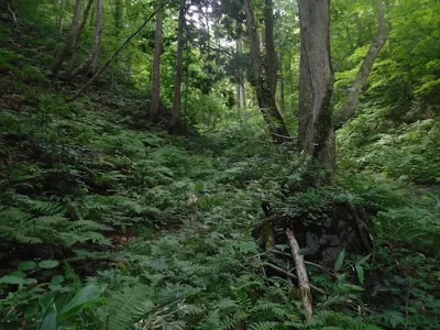 沢沿いの帰路の様子