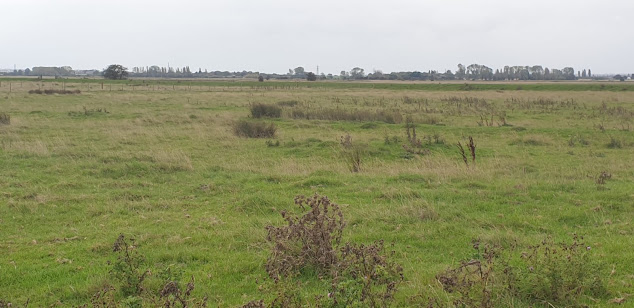Landscape to S. Of Stour
