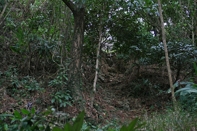 『大城の殿』から『がじゃんびら公園』へ続く小道の写真