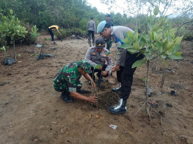 TNI Polri Tanam Pohon Mangrove di Pantai Pancer