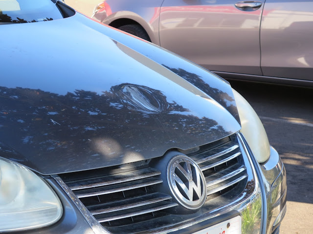 Freeway missile (who knows what) hit the hood of this Volkswagen and caused a huge dent