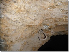 DSCF1396