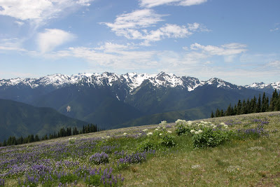 2008-07-13_04_Hurricane Ridge-Olympic NP_WA_b.jpg