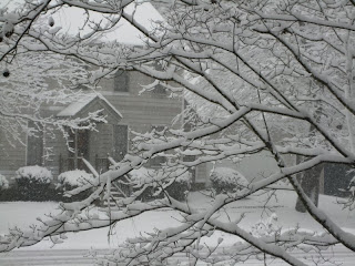 the house across the street