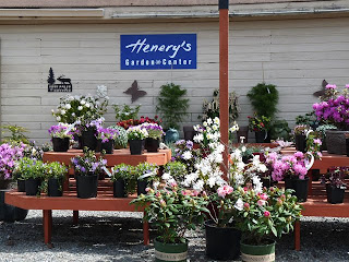 Henery's Plant Nursery in Sequim