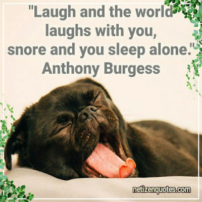 "Laugh and the world laughs with you, snore and you sleep alone." Anthony Burgess